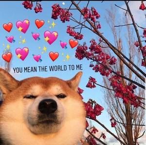 Meet your Posher, Gilberto